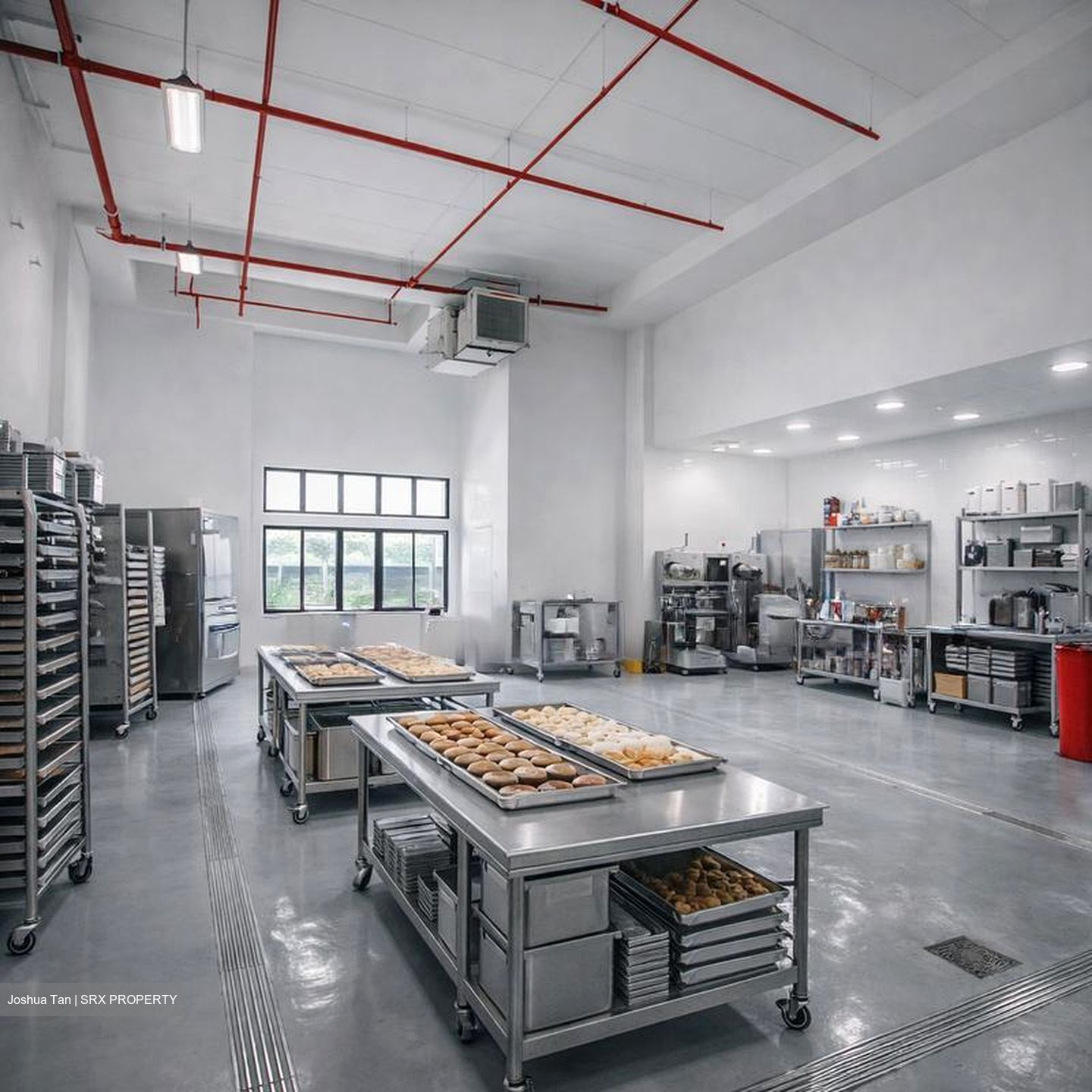 Ct Foodnex (D25), Factory #588589491